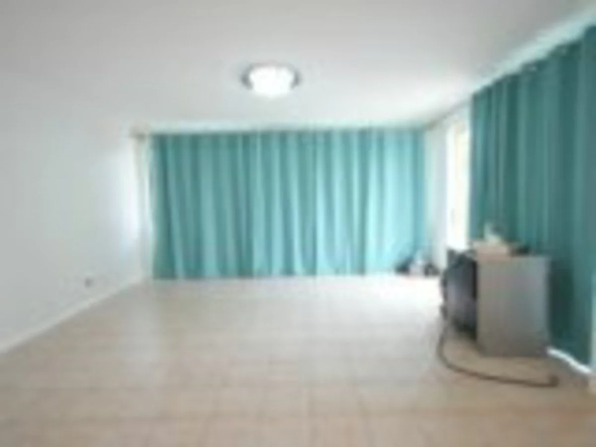 Additional image 2 of 53 Lansdowne Road, Canley Vale NSW 2166