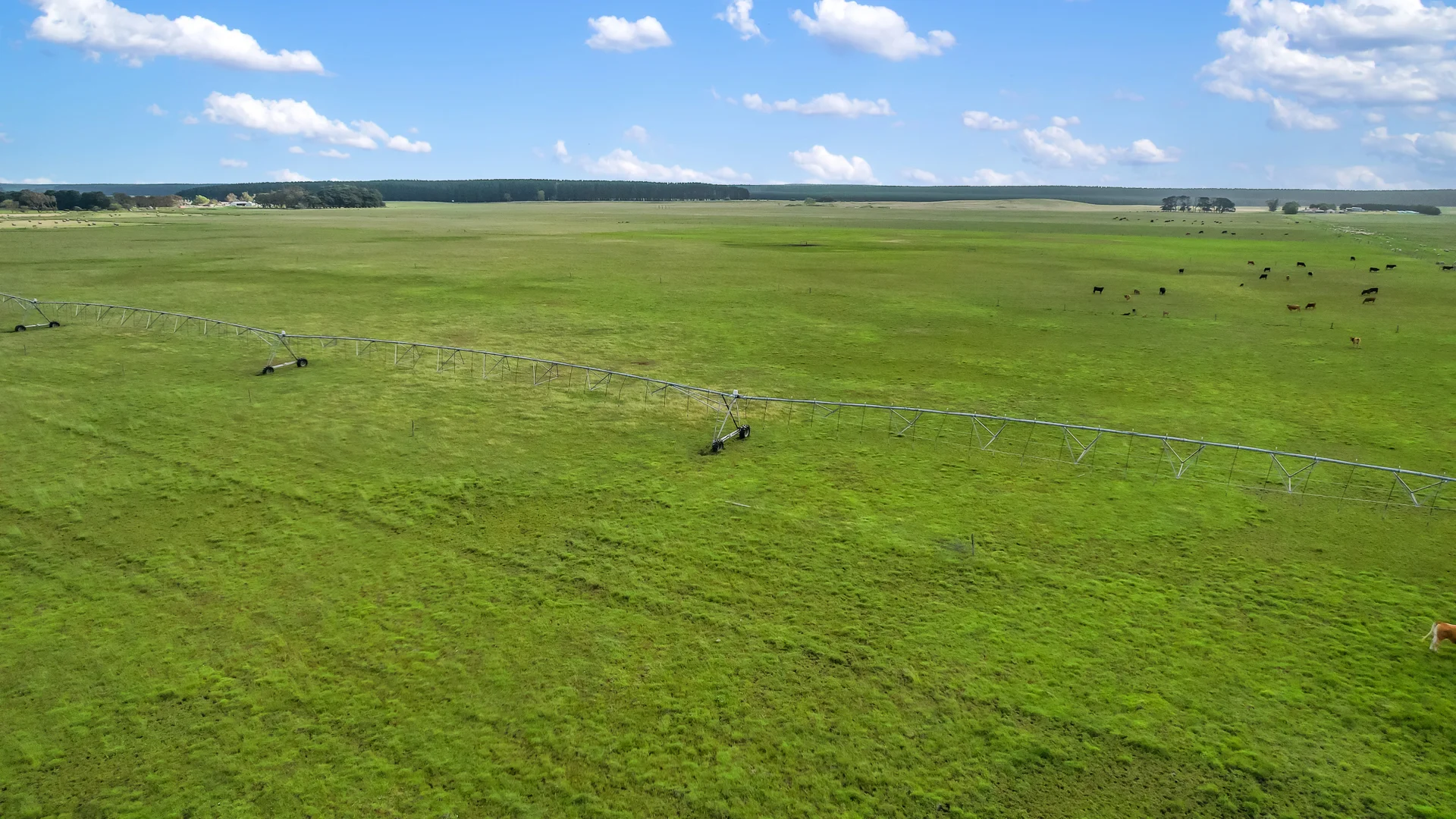 Additional image 13 of 80 German Creek Road, German Creek SA 5291