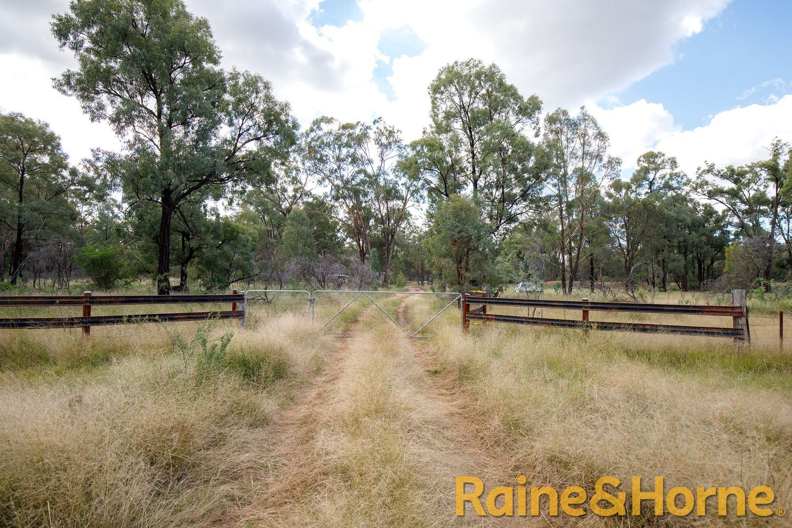 11 Wandarra Road, Brocklehurst NSW 2830, Image 0