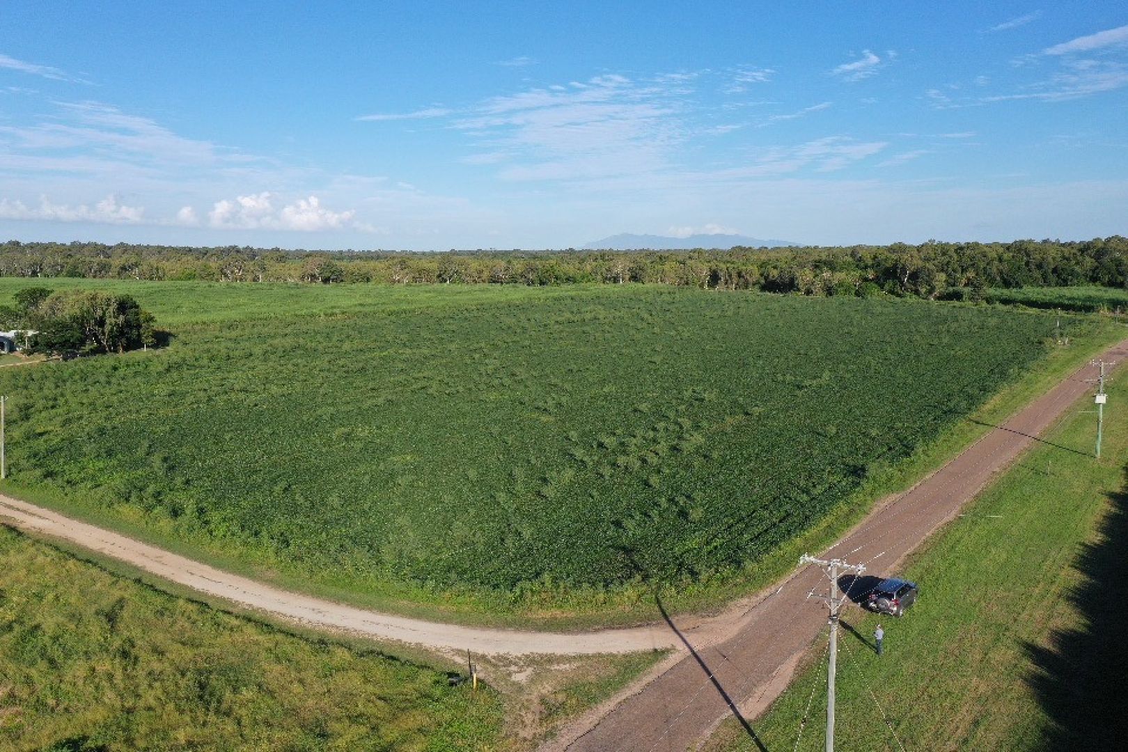 386 Anabranch Road, Jarvisfield QLD 4807 House for Sale Domain