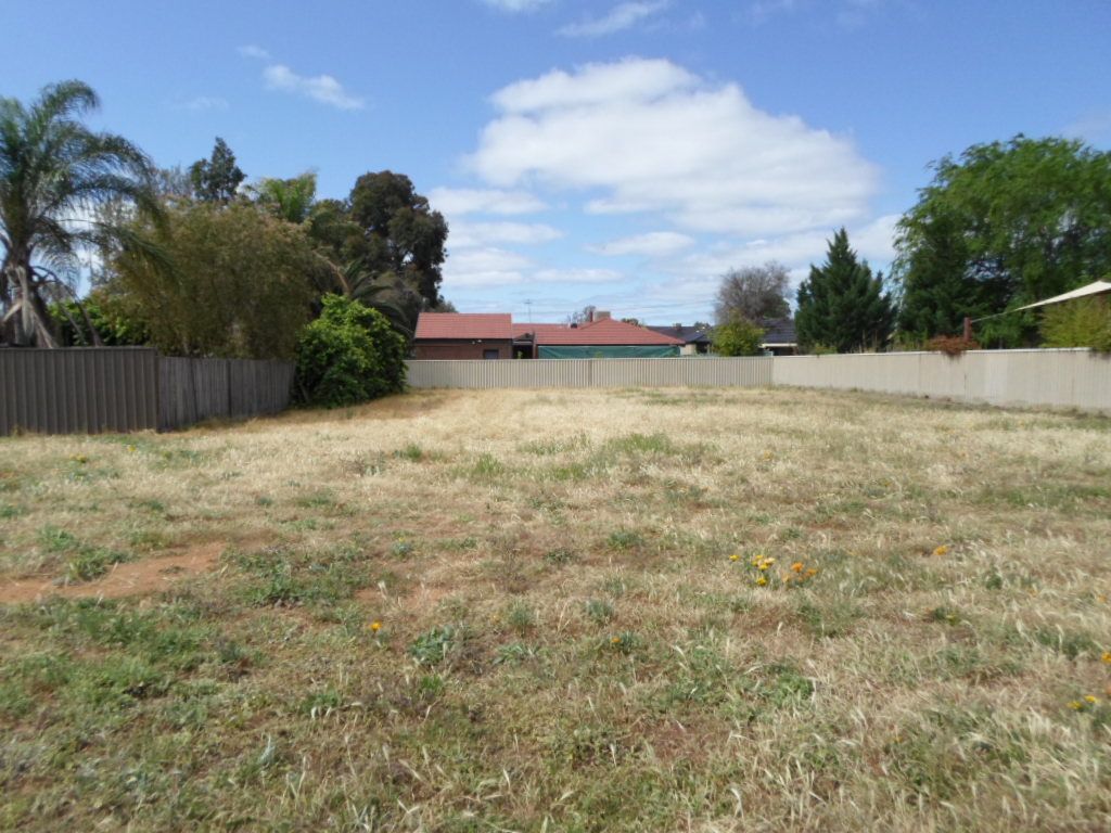 246 Bromley Road, Robinvale VIC 3549, Image 1