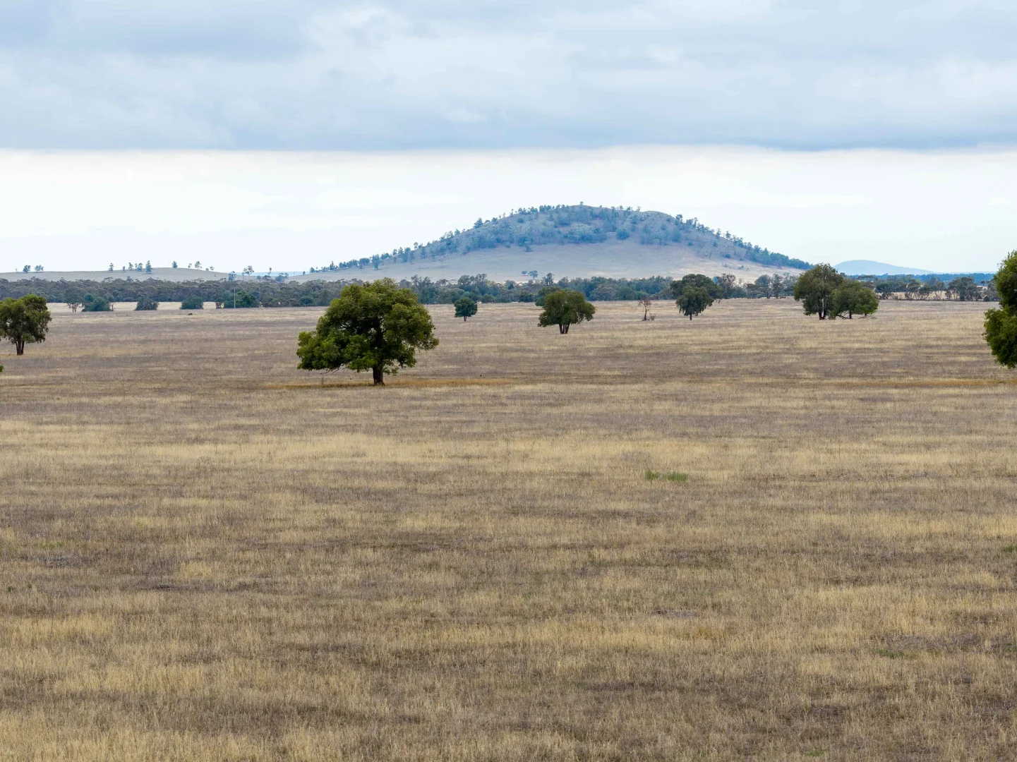 Additional image 5 of 83 Cornells Road, Condobolin NSW 2877