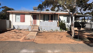 Picture of 114 Goodliffe Street, NORSEMAN WA 6443