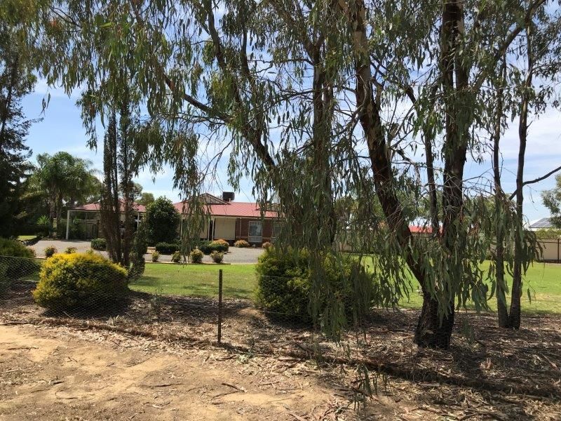 49 - 51 BRUCE STREET, Tocumwal NSW 2714, Image 1
