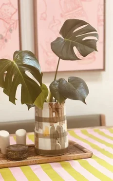 Additional image 13 of 11 Mahonga Street, Condobolin NSW 2877