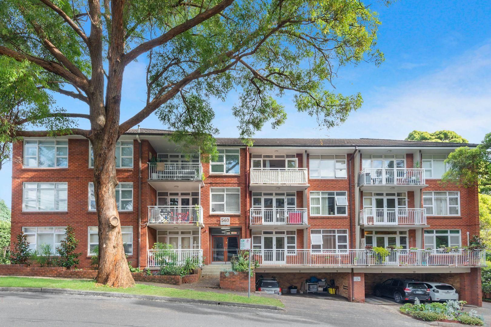 4/560 Willoughby Road, Willoughby NSW 2068 Apartment For Rent Domain