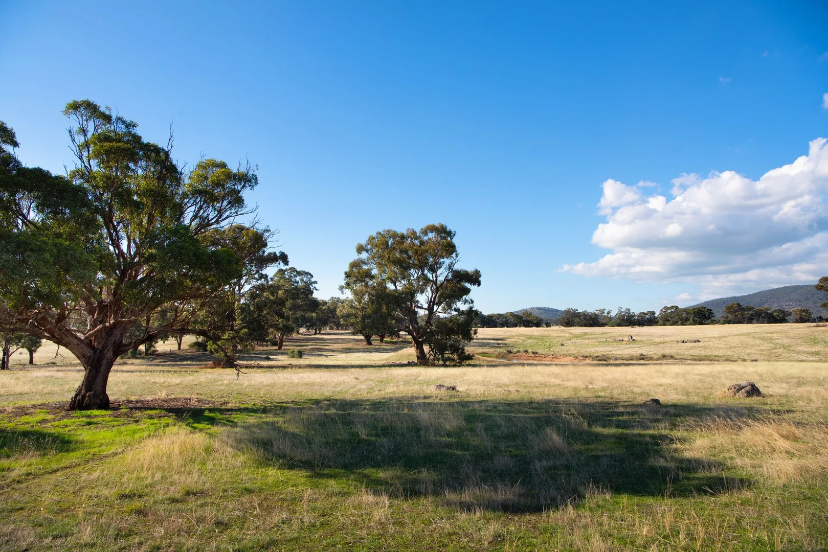 Additional image 6 of 135 Tarrengower School Road, Tarrengower VIC 3463