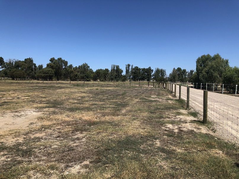 Lot 102, 118 Bournbrook Avenue, Cardup WA 6122, Image 1