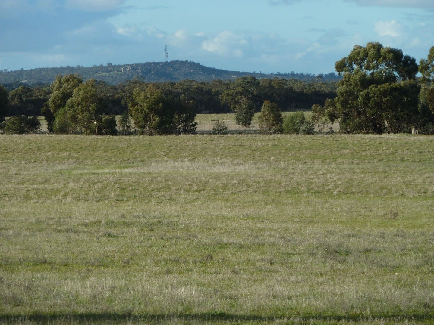 CA91 Eucy Road, Woolshed Flat VIC 3518, Image 0