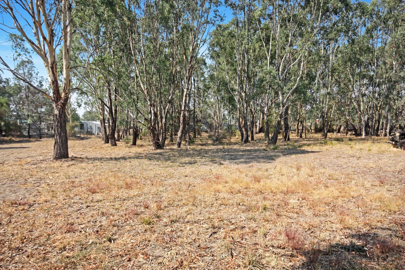 Lot 5 134 Winton-Glenrowan Road, Winton VIC 3673, Image 1