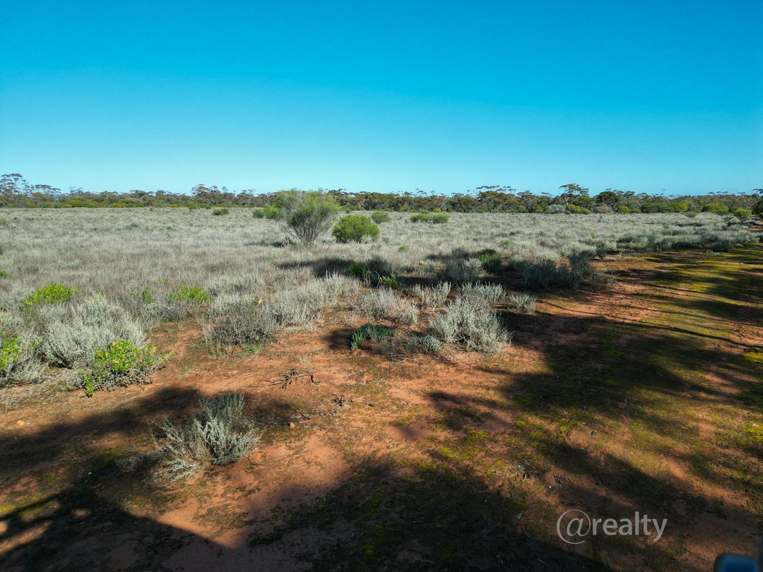 147 Vasey Road, Waikerie SA 5330, Image 2