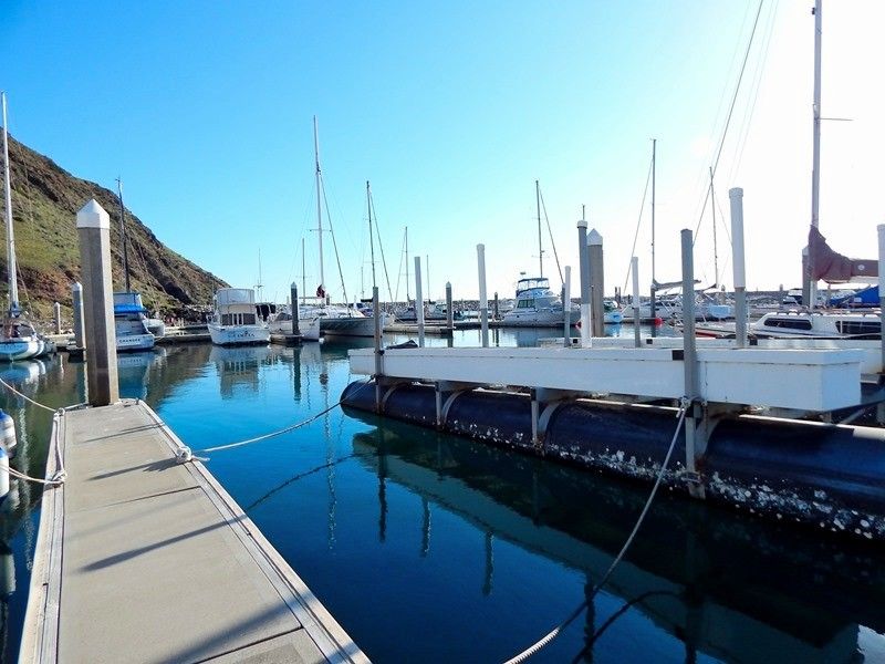 Berth C49 Marina Avenue, Wirrina Cove SA 5204, Image 1