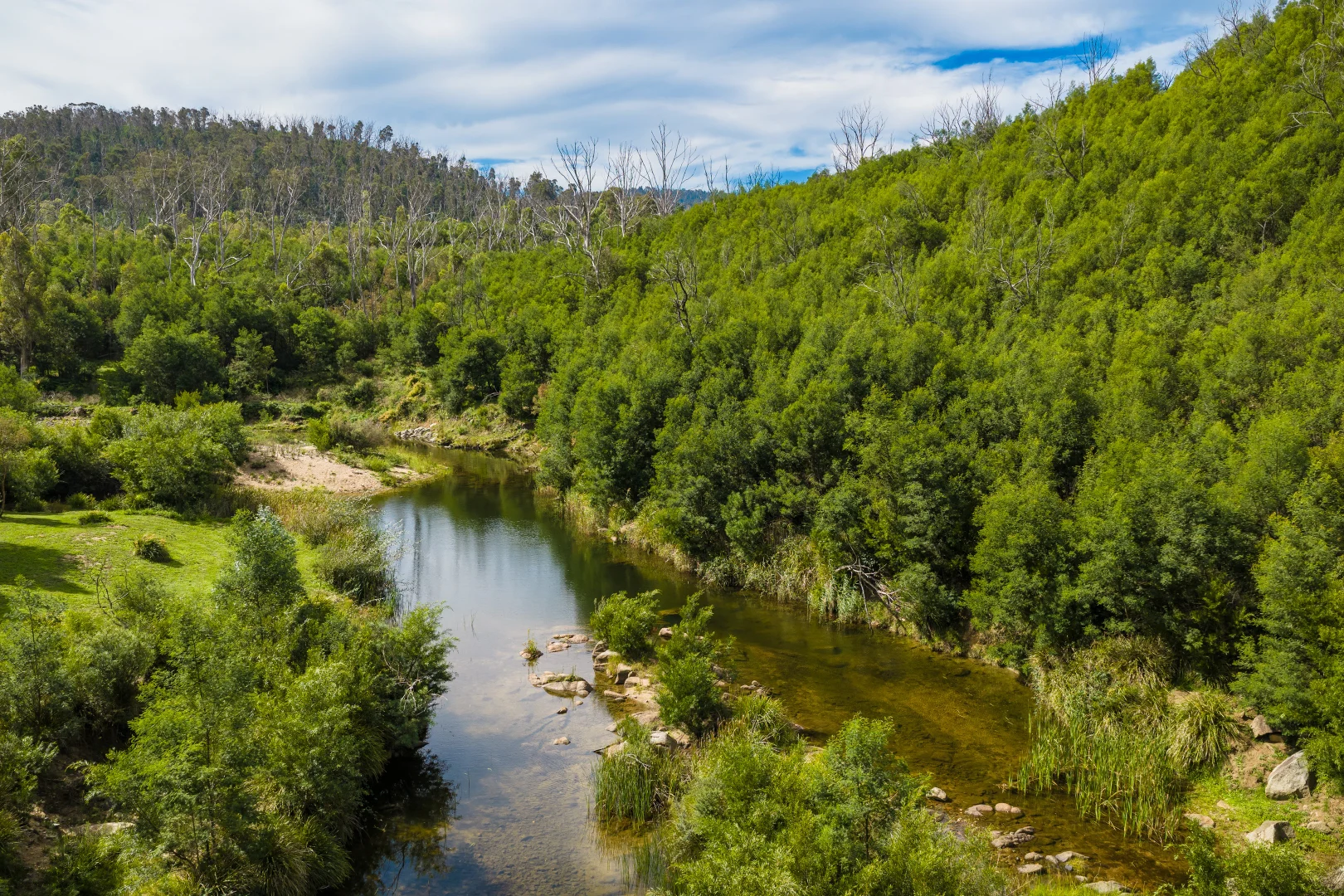 Additional image 32 of 614 New Buildings Road, Wyndham NSW 2550