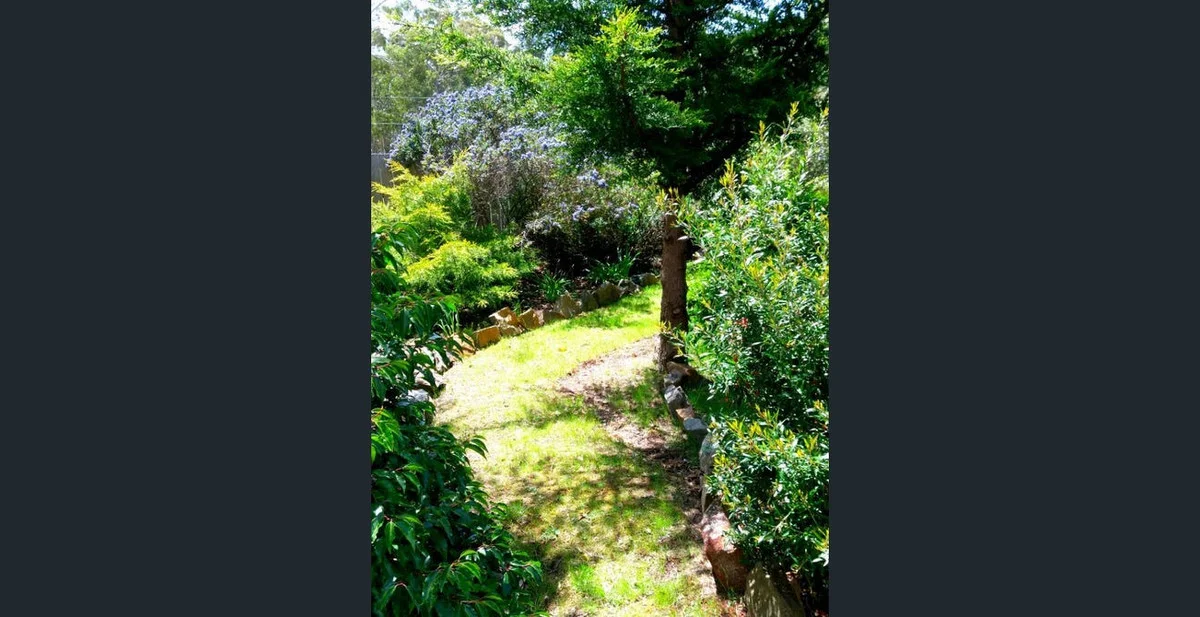 Image 19