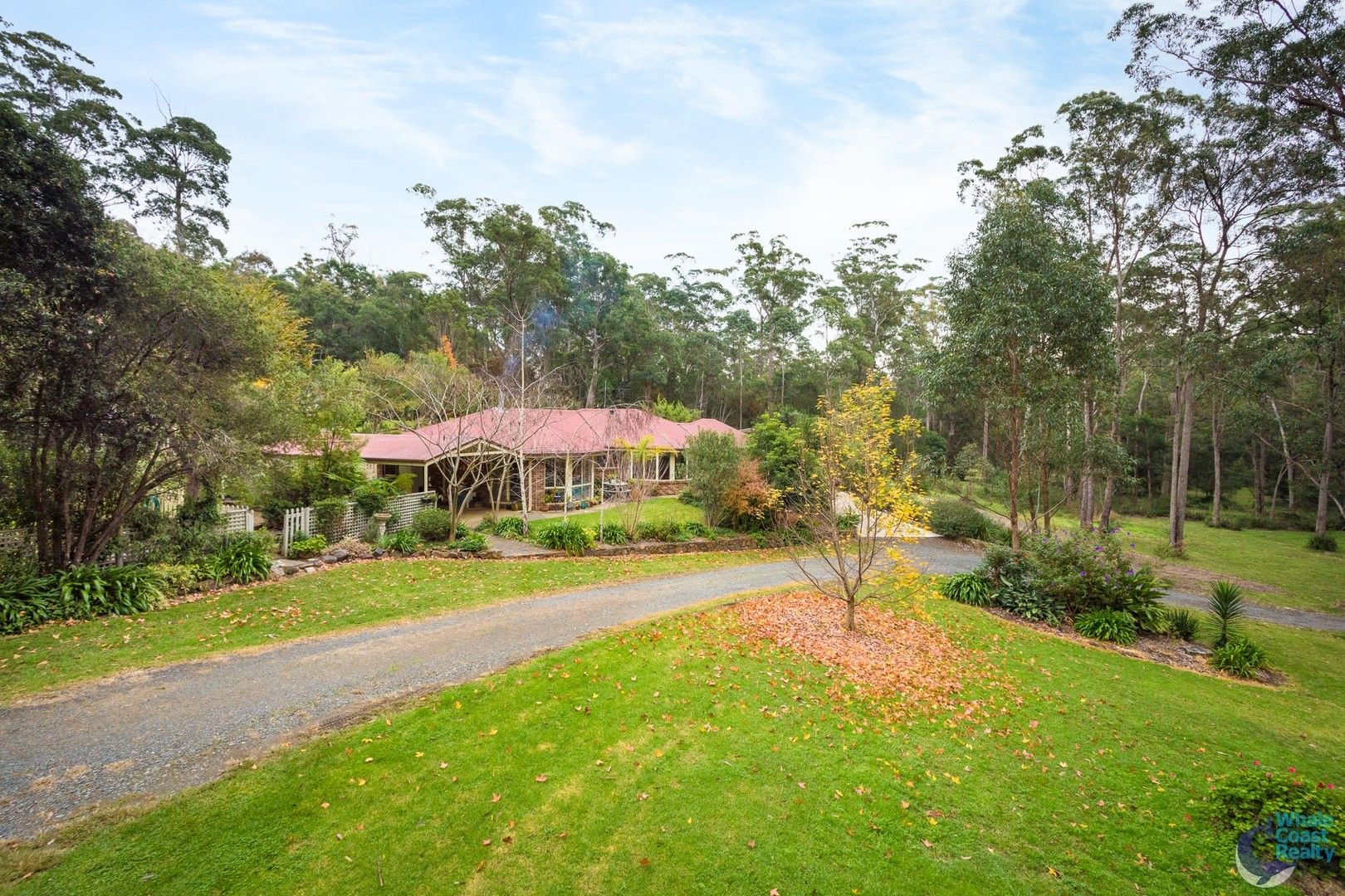 41 Finch Place, Bodalla NSW 2545, Image 0