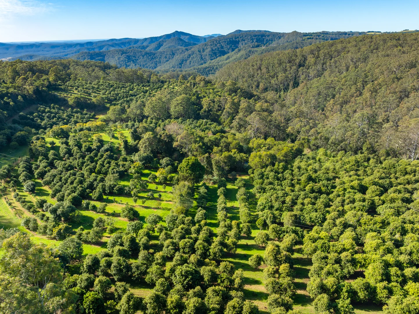 Additional image 20 of 480 Ponsfords Road, Comboyne NSW 2429