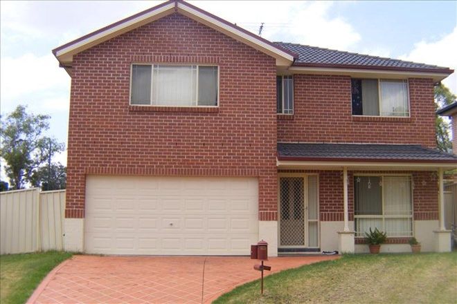Picture of Salerno Place, BLAIRMOUNT NSW 2559