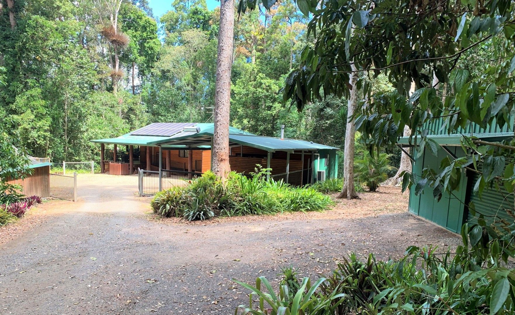 144 Figtree Close, Malanda QLD 4885 House for Sale Domain