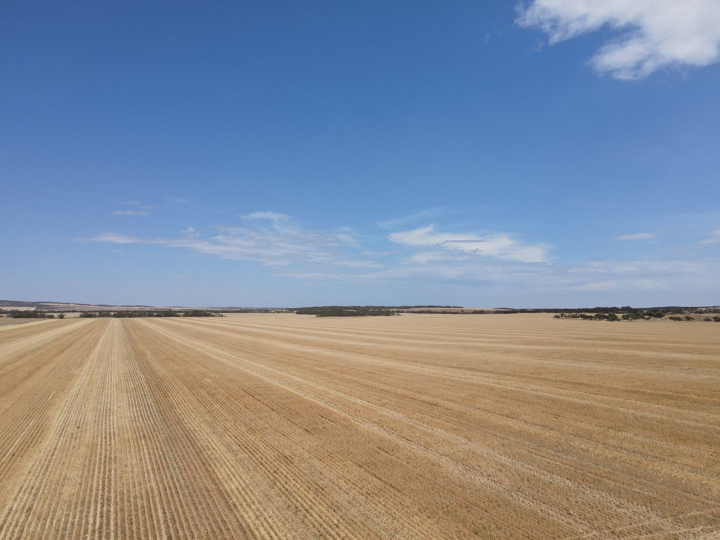 'Raysons' Section 1 & 28 Eyre Highway, Solomon SA 5641, Image 0