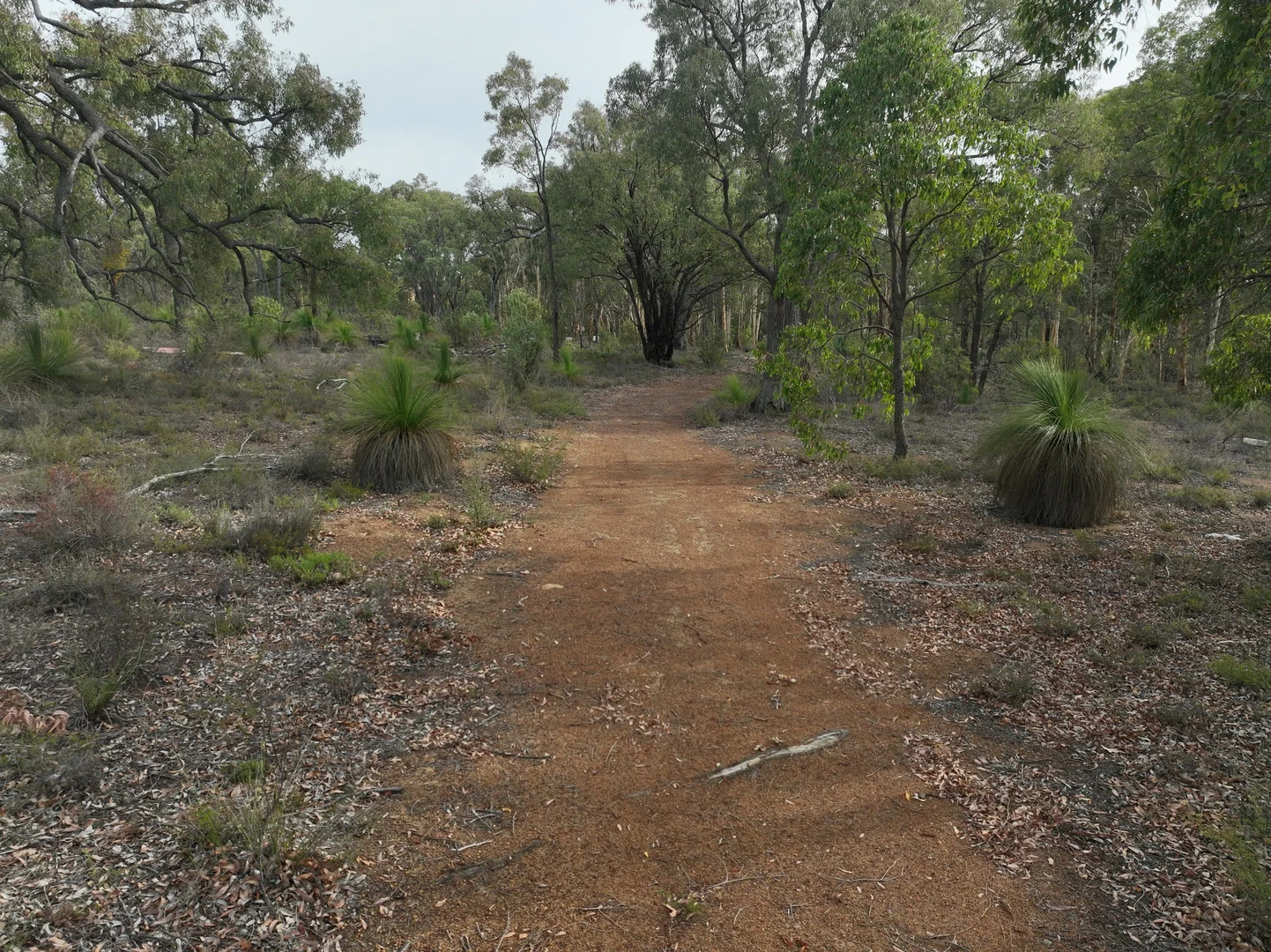 Image 17