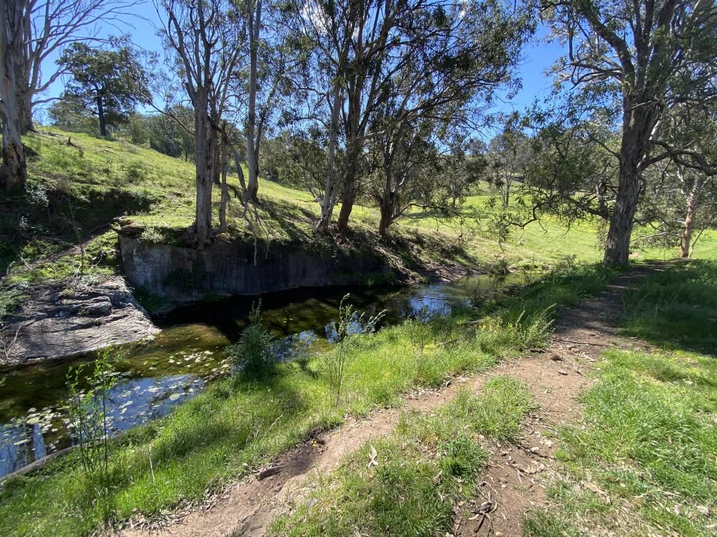 1023 Muscle Creek Road, Muscle Creek NSW 2333, Image 1