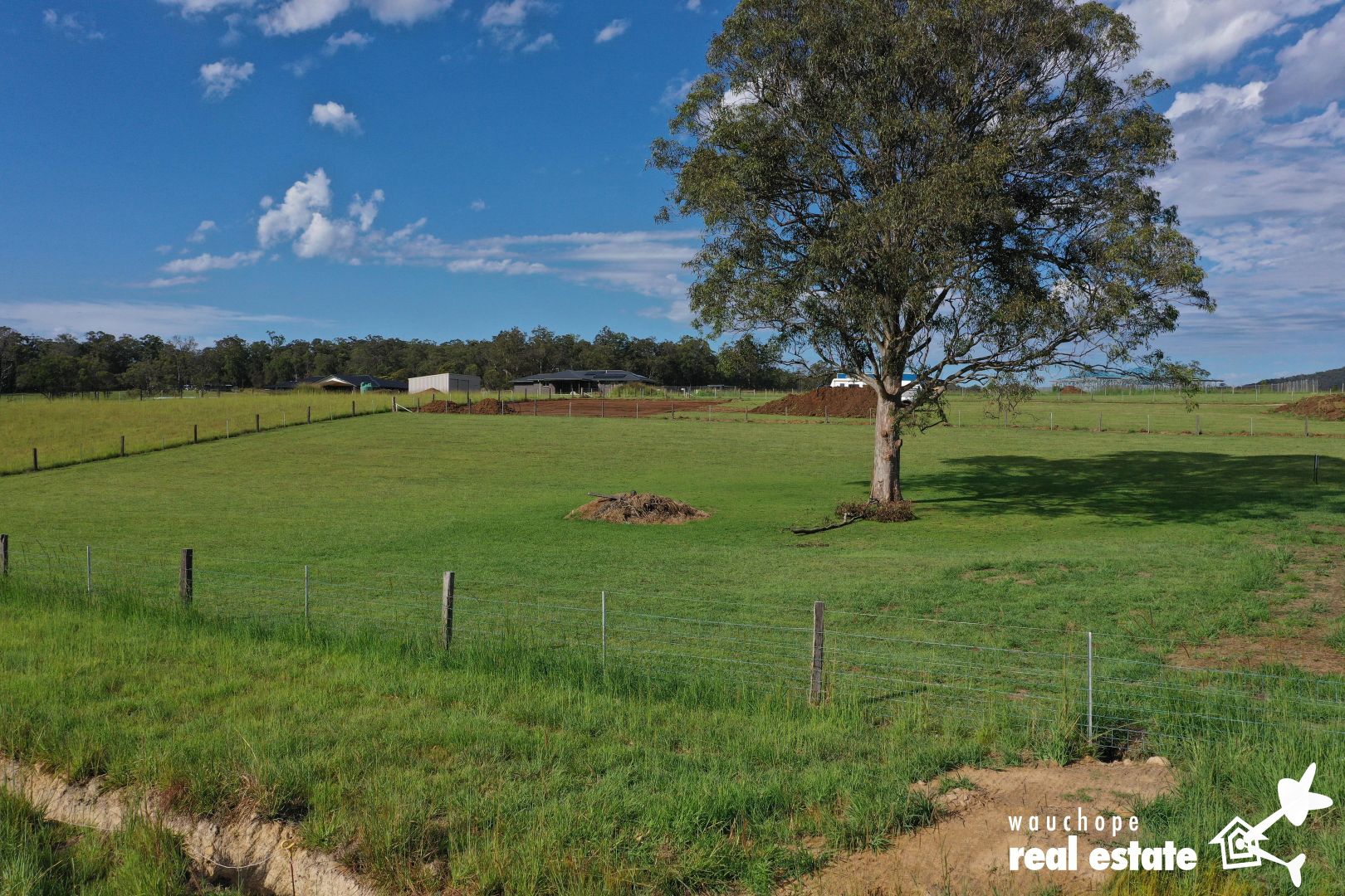 Lot 141 Neville Road, Beechwood NSW 2446, Image 1