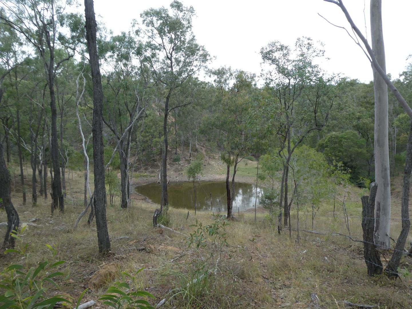 Campbell Creek QLD 4625, Image 2