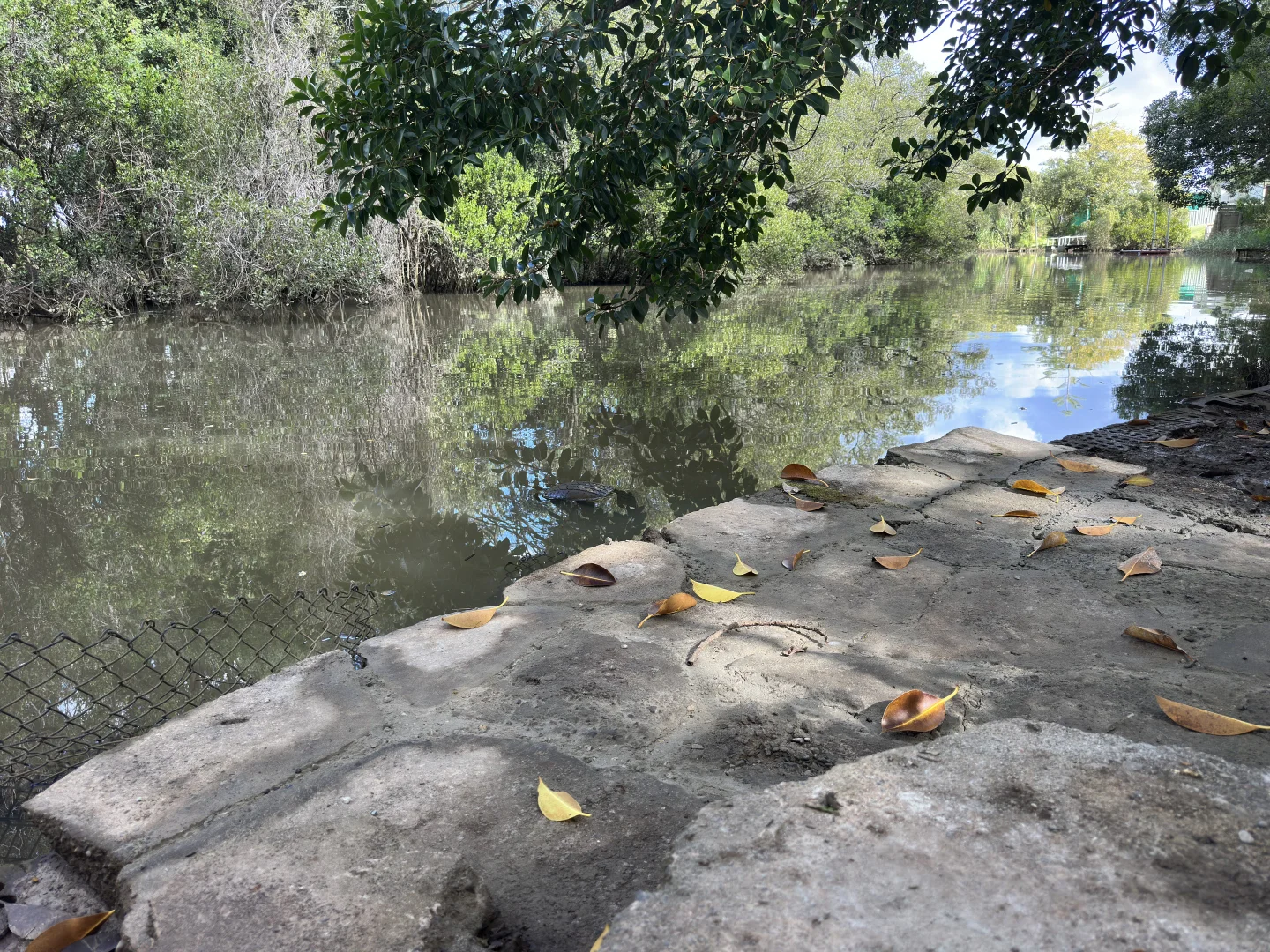 Additional image 35 of 22 Crescent Avenue, Taree NSW 2430