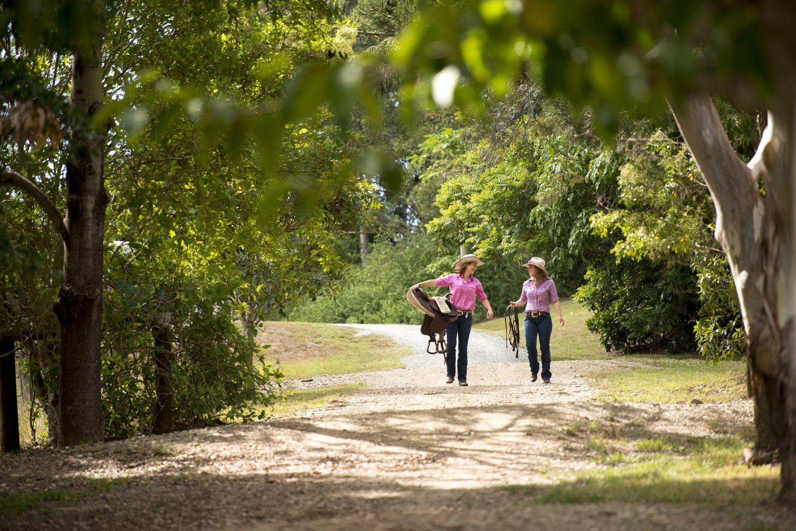 Dayboro QLD 4521, Image 1