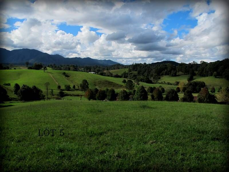 285/Lot 5 Crawford Close, Bellingen NSW 2454, Image 1