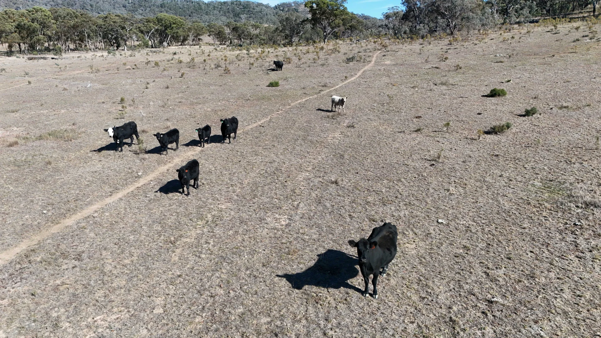 Additional image 7 of Gulgong NSW 2852