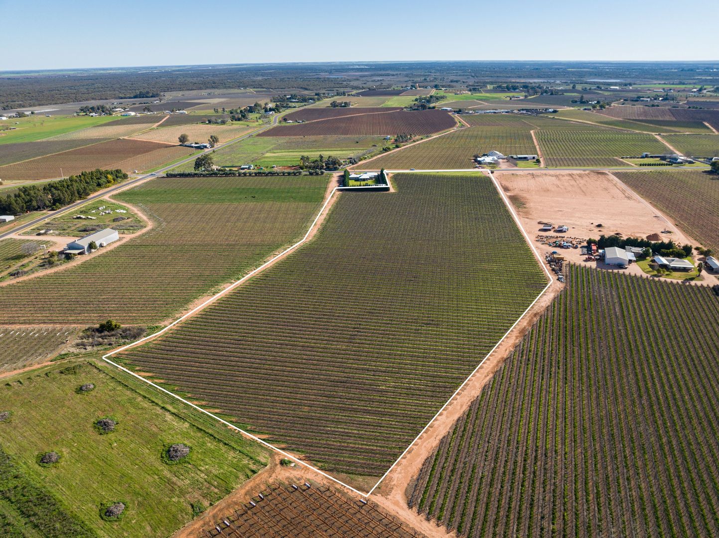 Block 561 Dairtnunk Avenue, Cardross VIC 3496 House for Sale