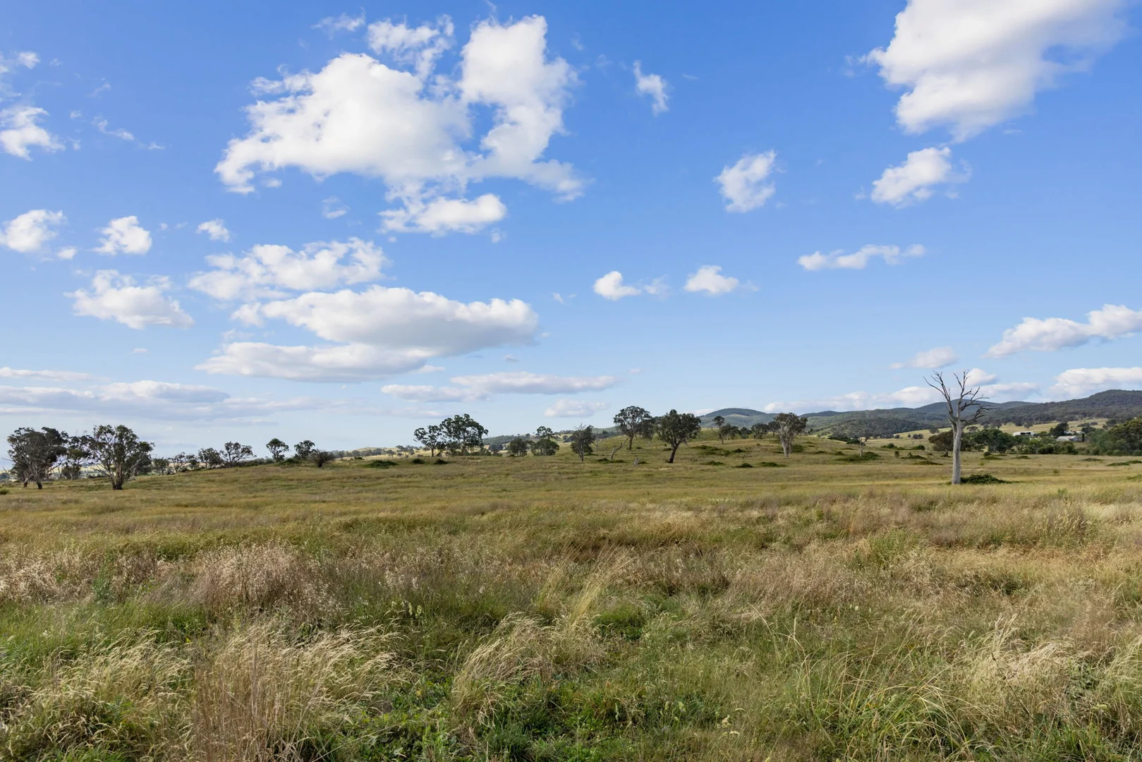 Image 34