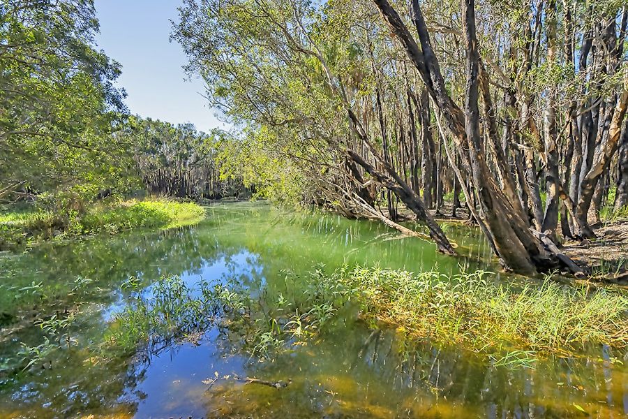 Lot 26 Deepwater Road, Deepwater QLD 4674, Image 2