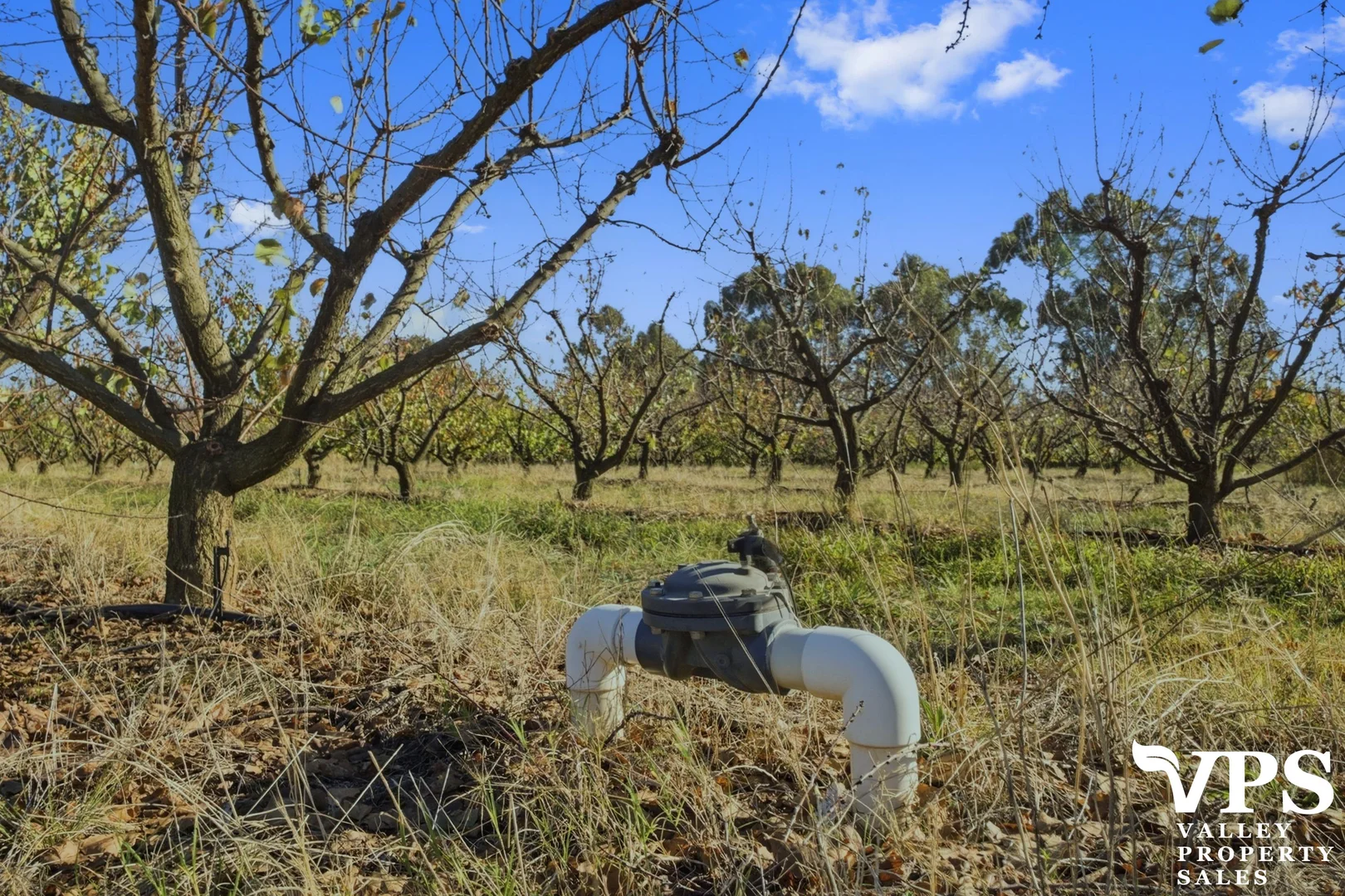 Image 10