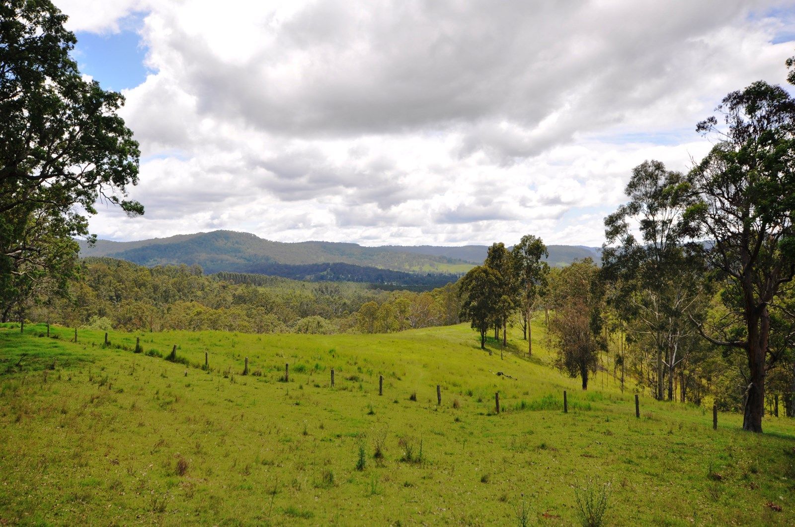 Lot 2, 166 Farm Road, Bonalbo NSW 2469, Image 2