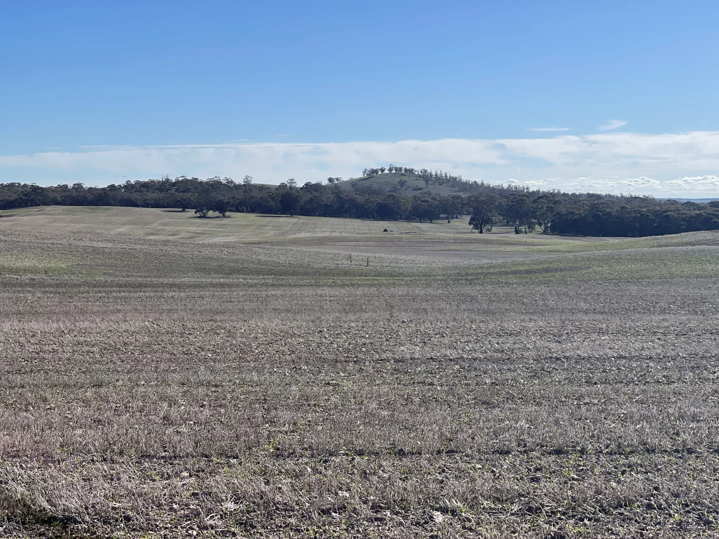 Image 15