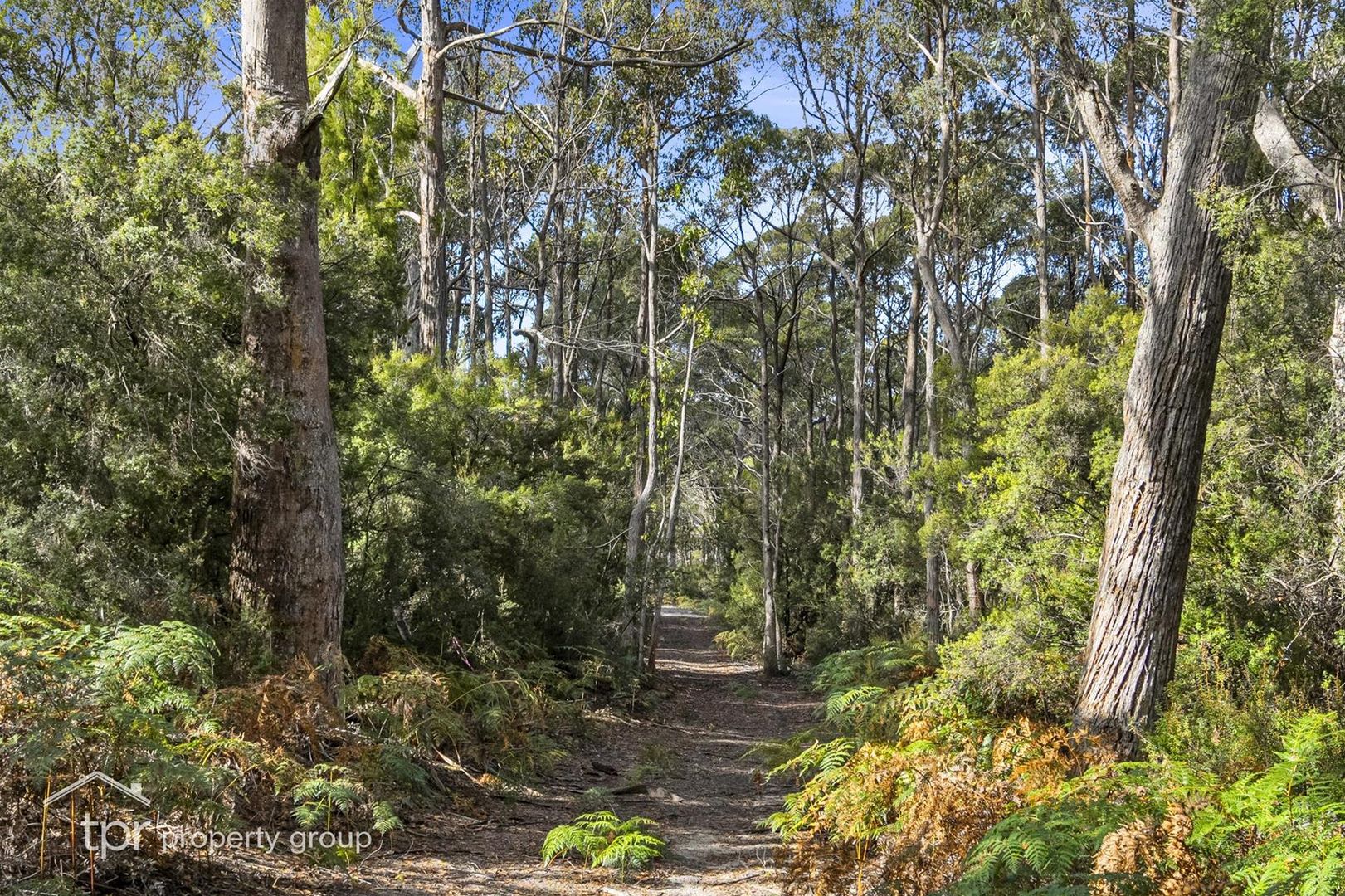 Lot 1 Sandhill Road, Cradoc TAS 7109 Vacant Land for Sale 399,000