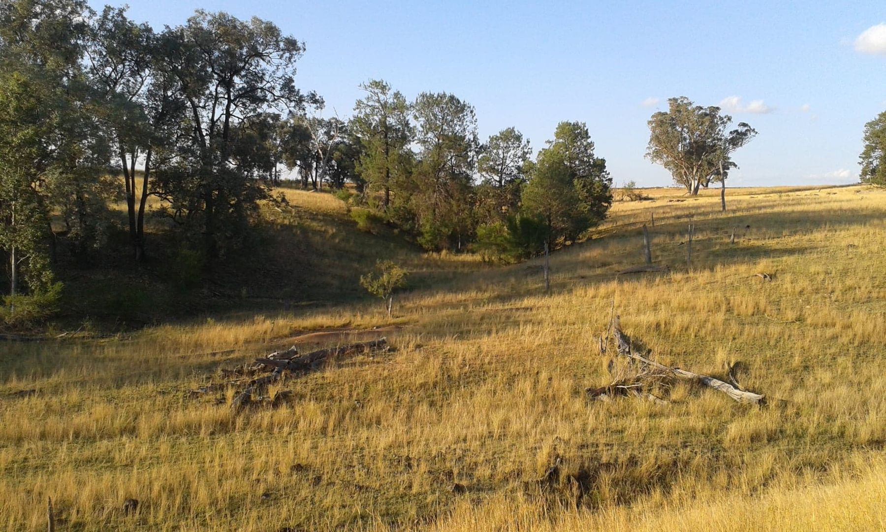 Delungra NSW 2403 House for Sale 1,580,000 Domain