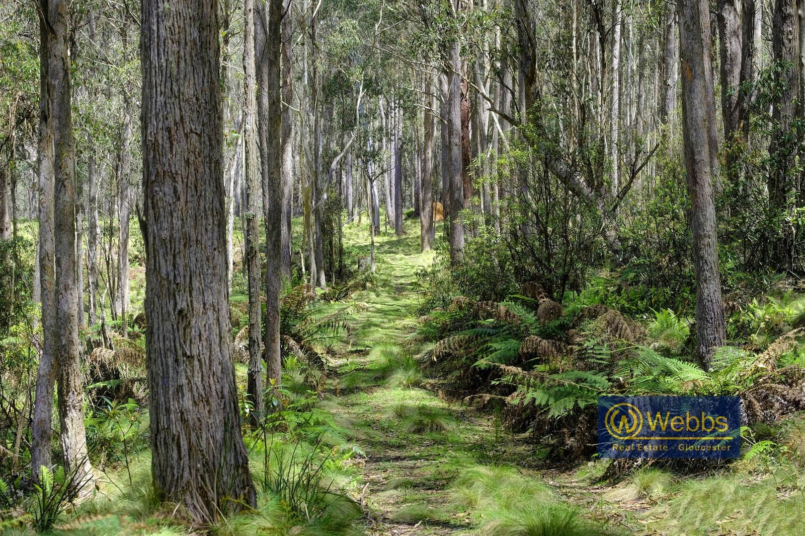 1 Barrington Tops Forest Road, Barrington Tops NSW 2422, Image 1