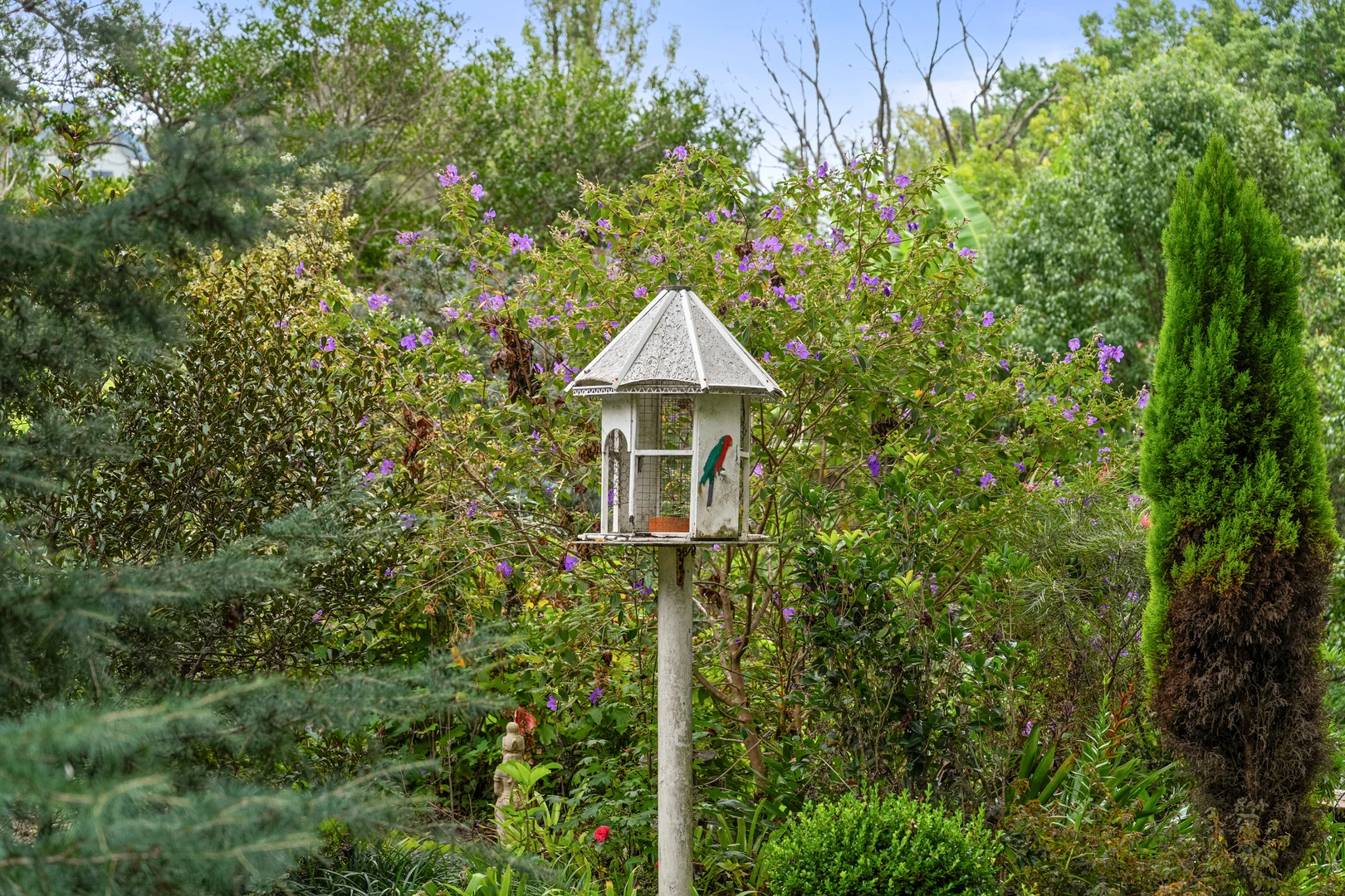 Additional image 16 of 50 Anderson Road, Glenning Valley NSW 2261