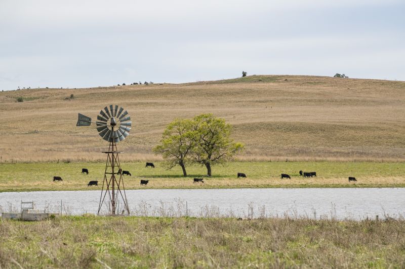 "Severn Park East" Black Range Road, Bobundara NSW 2630, Image 1