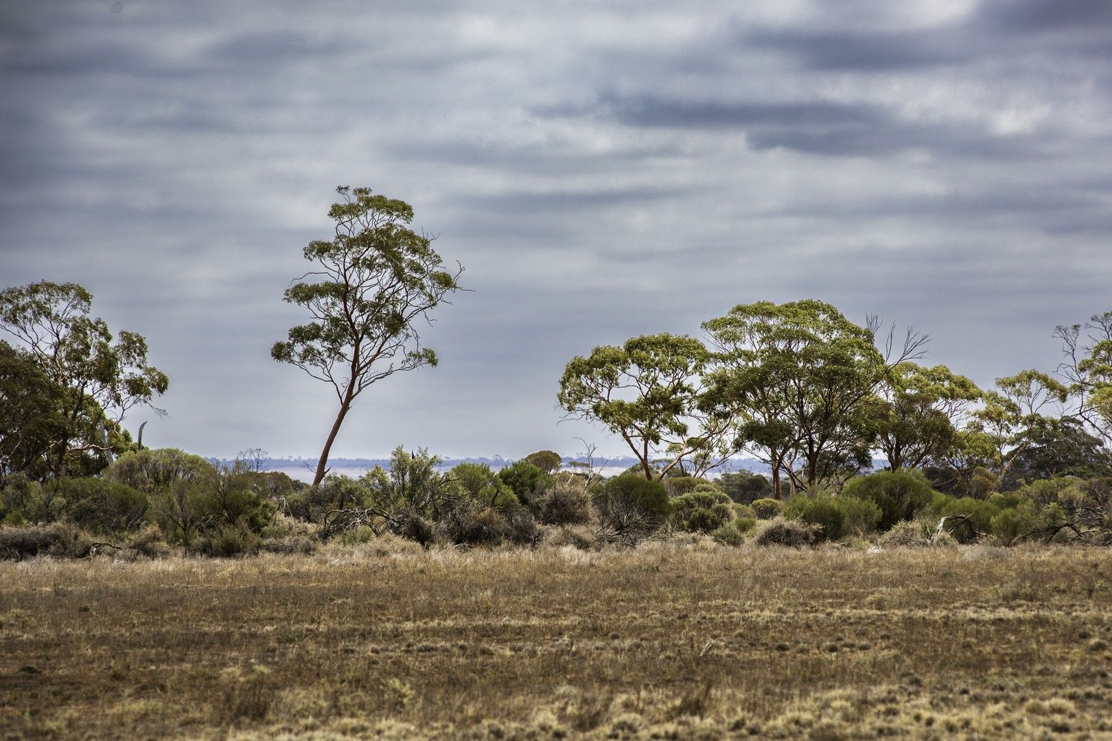 25433 Avon Location Road, Mukinbudin WA 6479, Image 0