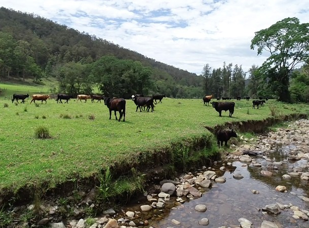 610 Pappinbarra Road Left Arm , Upper Pappinbarra NSW 2446