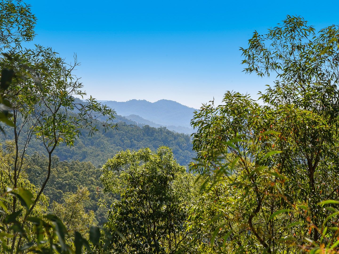 Hawkins Road, Kobble Creek QLD 4520, Image 0