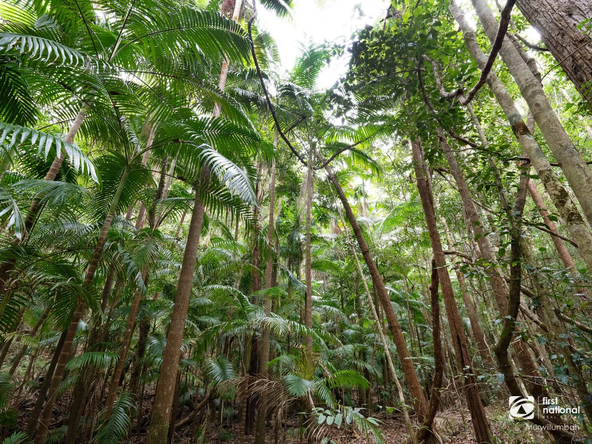 Image 15