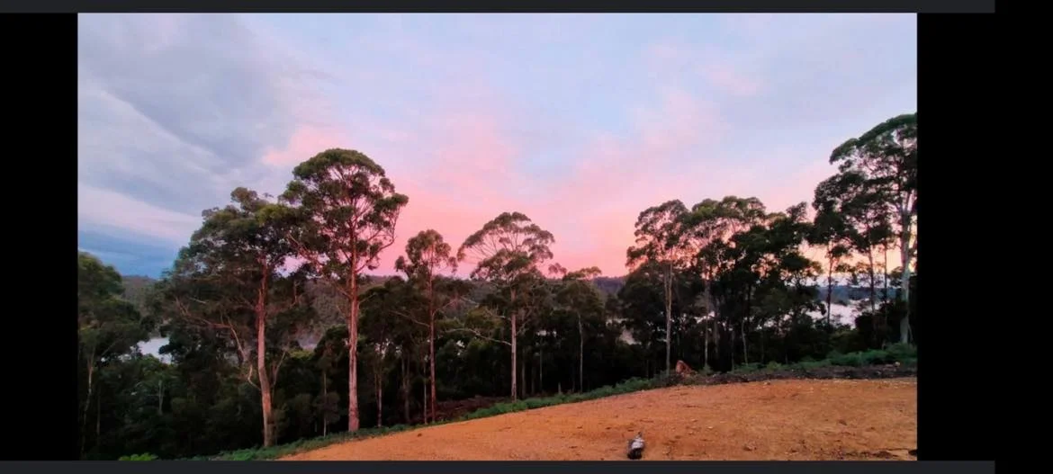 Additional image 13 of Somerset TAS 7322