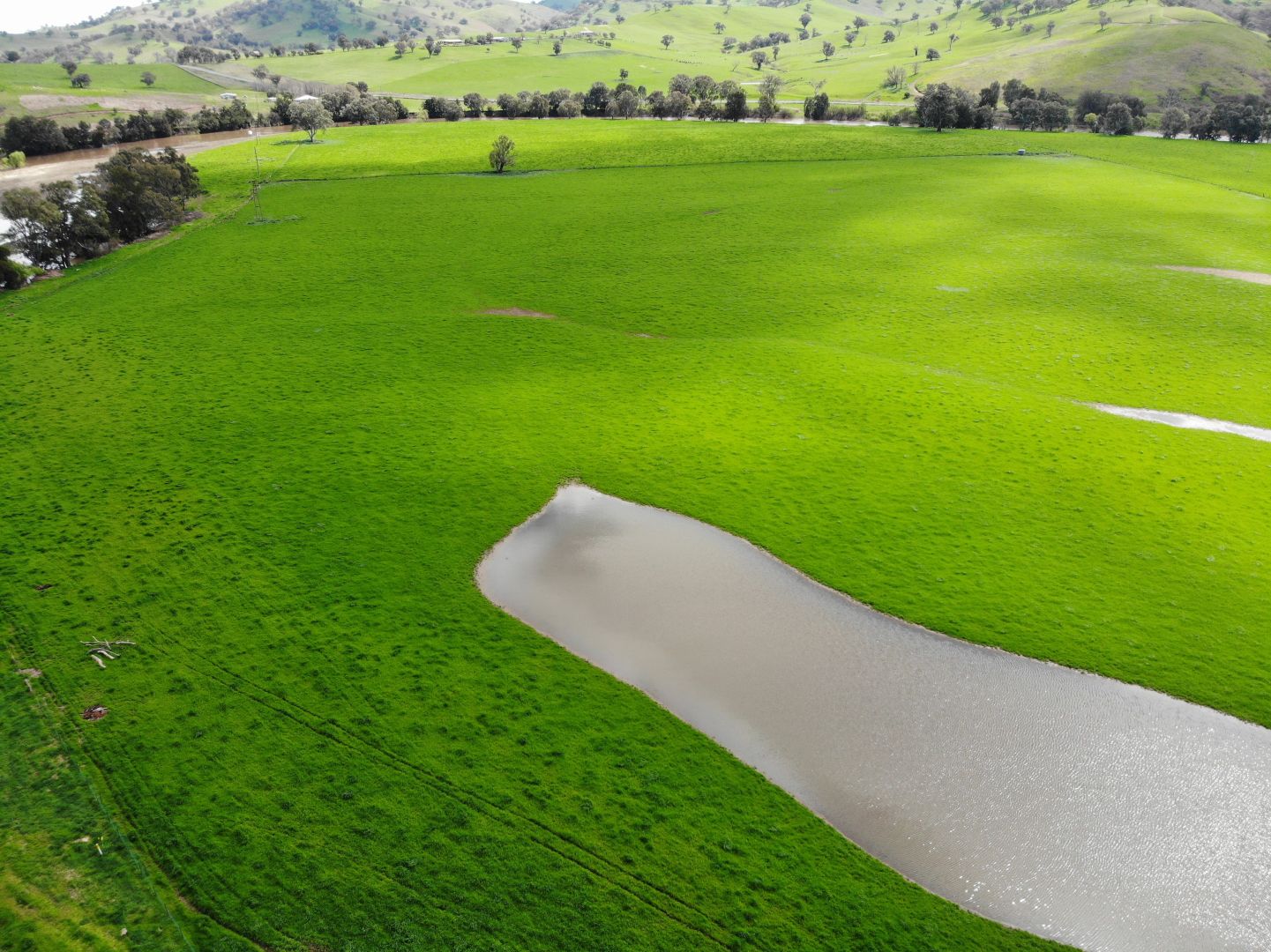 324 Hume Highway, Gundagai NSW 2722 Specialist Farm for Sale 900,000