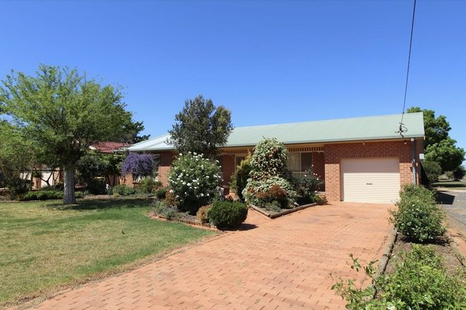 Picture of 36 Elder Road, GRIFFITH NSW 2680