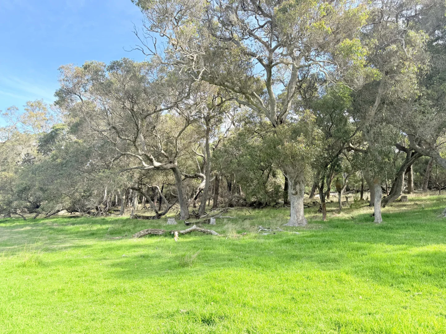 Image 13